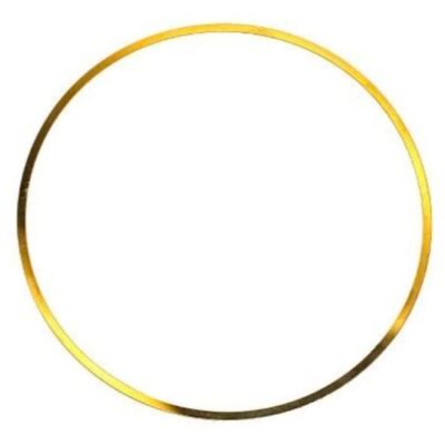 703.214 ELRING O-RING CYLINDER SLEEVE
