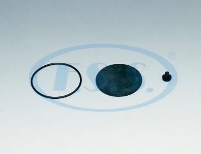 01.118.00.2 F.S.S. QUICK RELEASE VALVE REPAIR KIT