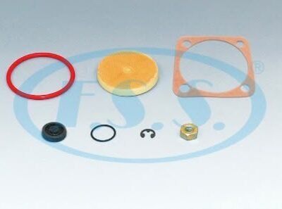 01.120.01.2 F.S.S. AIR DRYER VALVE REPAIR KIT